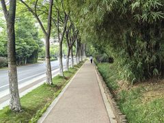 -南昌青山湖风景区