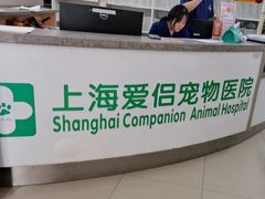 -爱侣宠医·鹦鹉专科·小型哺乳类·异宠专科(灵石路店)