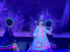 -金东尼人妖秀