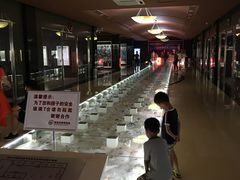 -青岛贝壳博物馆