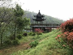 -敬亭山风景名胜区