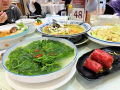 -优之名鹅城