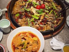 -老板恋上鱼(恒隆广场店)