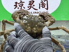 -阳澄湖大闸蟹·琼灵阁牌品牌连锁(吴中总店)