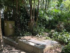 -九龙公园