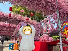 -南汇桃花村