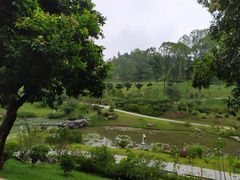 -东莞植物园