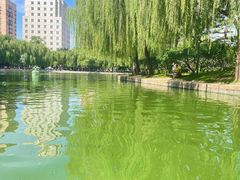 -团结湖公园