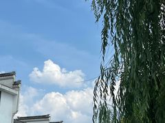 -茯茶镇