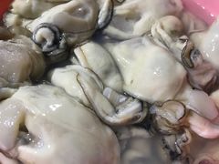 生蚝火锅-蚝乡农庄(铁涌赤岸店)