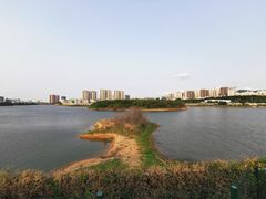 -立新湖公园
