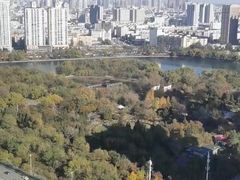 -君悦酒店·乐厨·高空自助餐(青年大街店)