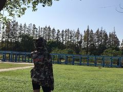 -上海长兴岛郊野公园