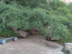 -南方医科大学南方医院(院本部)