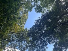 -上海市保健医疗中心