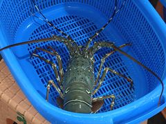 -班赞海鲜市场