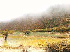 -黄龙山原始森林景区
