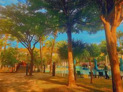 -三亚海棠湾万丽度假酒店