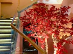 -韩京炭火烤肉自助料理(柯桥万达店)