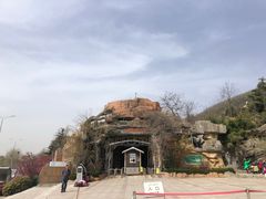 -东方熊牧场