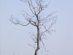 -良渚古城遗址公园