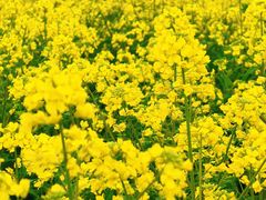 -营地公园·团建拓展·亲子户外(奉贤店)