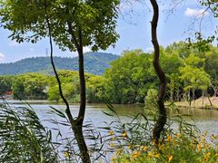 -白塔湖国家湿地公园