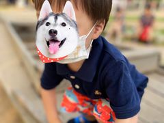 -长白岛森林公园