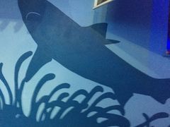 -凯莉-塔尔敦海洋生物水族馆