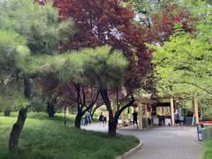 -丰台花园