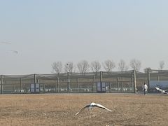 -盐城丹顶鹤湿地生态旅游区