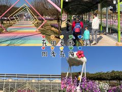 -盈香心动乐园