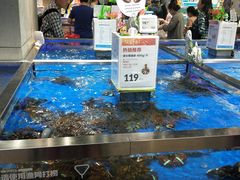 水产区-盒马鲜生(财富中心店)