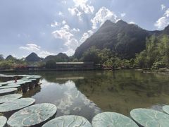 -靖西鹅泉风景区