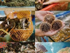 -达叔香味海鲜(海棠68环球美食街店)
