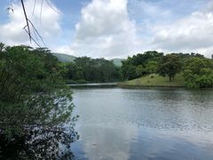 -大屏嶂森林公园