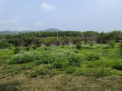 -天适樱花悠乐园