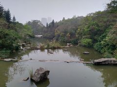 -云溪植物园