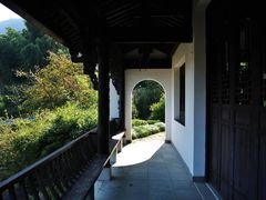 -莲峰云海景区