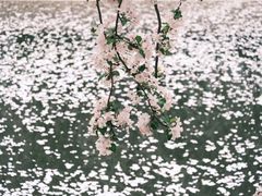 -海棠花溪(元大都城垣遗址公园)