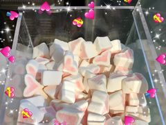-狐狸和向日葵(北京路店)