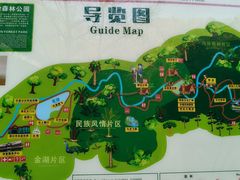 -西双版纳原始森林公园