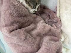-达爱动物医院·犬猫分区·CT·复杂眼科(远洋山水分院)