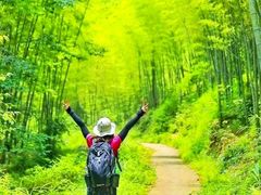 -火炉山森林公园