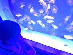 -沈阳海洋探索中心