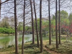 -郑州植物园