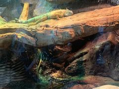 -皇家极地海洋世界-售票处