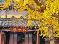 -北寺塔