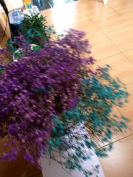 -本真坊美容美体沙龙