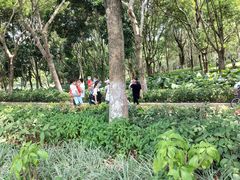 -东莞植物园